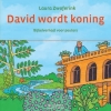 Productafbeelding David wordt koning - kartonboekje