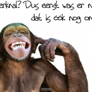 Productafbeelding Choice kaartje oerknal?