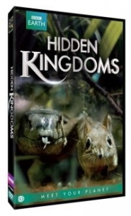 Productafbeelding Hidden Kingdoms