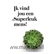 Productafbeelding WK Ik vind jou een Superleuk mens!