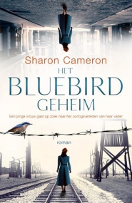 Productafbeelding Het Bluebird geheim